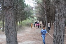 В Азербайджане для детей из семей беженцев и вынужденных переселенцев разработана  экологическая программа "Зеленая Школа" (фото)