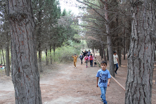 В Азербайджане для детей из семей беженцев и вынужденных переселенцев разработана  экологическая программа "Зеленая Школа" (фото)