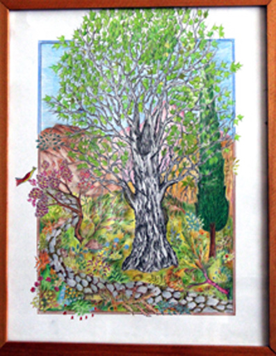 Сто чудесных мгновений в поэтичном крае Низами (фотосессия)