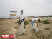 Кампания IDEA организовала акцию по очистке территории Нардаранского пляжа от отходов (фото)