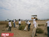Кампания IDEA организовала акцию по очистке территории Нардаранского пляжа от отходов (фото)