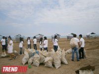 Кампания IDEA организовала акцию по очистке территории Нардаранского пляжа от отходов (фото)