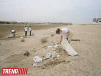 Кампания IDEA организовала акцию по очистке территории Нардаранского пляжа от отходов (фото)