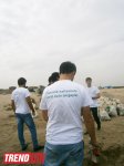 Кампания IDEA организовала акцию по очистке территории Нардаранского пляжа от отходов (фото)