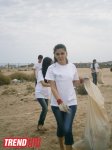 Кампания IDEA организовала акцию по очистке территории Нардаранского пляжа от отходов (фото)