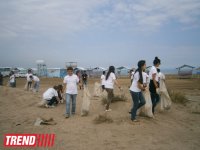 Кампания IDEA организовала акцию по очистке территории Нардаранского пляжа от отходов (фото)