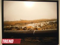 В Испании представлены фотоработы и книга Рены Эфенди "Жидкая земля" (фото)