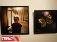 В Испании представлены фотоработы и книга Рены Эфенди "Жидкая земля" (фото)