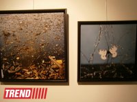 В Испании представлены фотоработы и книга Рены Эфенди "Жидкая земля" (фото)