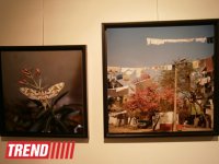 В Испании представлены фотоработы и книга Рены Эфенди "Жидкая земля" (фото)