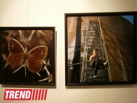 В Испании представлены фотоработы и книга Рены Эфенди "Жидкая земля" (фото)