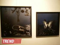 В Испании представлены фотоработы и книга Рены Эфенди "Жидкая земля" (фото)