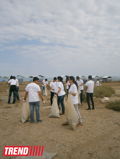 Кампания IDEA организовала акцию по очистке территории Нардаранского пляжа от отходов (фото)