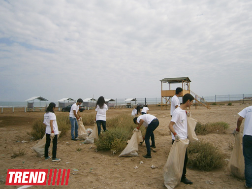 Кампания IDEA организовала акцию по очистке территории Нардаранского пляжа от отходов (фото)