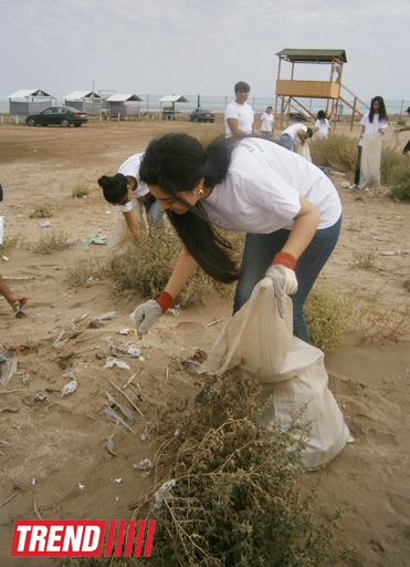 Кампания IDEA организовала акцию по очистке территории Нардаранского пляжа от отходов (фото)