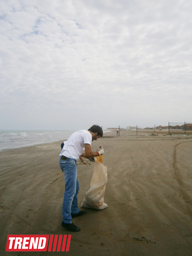 Кампания IDEA организовала акцию по очистке территории Нардаранского пляжа от отходов (фото)