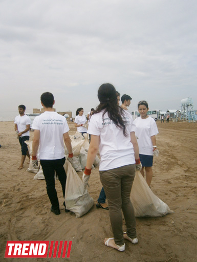 Кампания IDEA организовала акцию по очистке территории Нардаранского пляжа от отходов (фото)