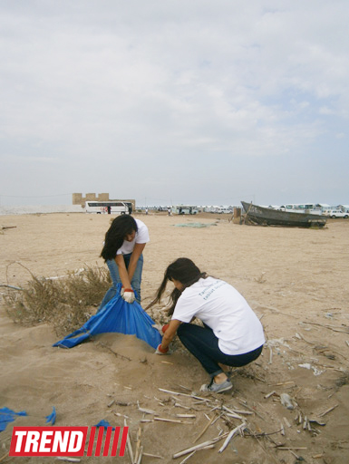 Кампания IDEA организовала акцию по очистке территории Нардаранского пляжа от отходов (фото)