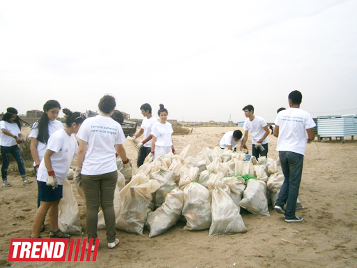 Кампания IDEA организовала акцию по очистке территории Нардаранского пляжа от отходов (фото)