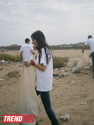 Кампания IDEA организовала акцию по очистке территории Нардаранского пляжа от отходов (фото)