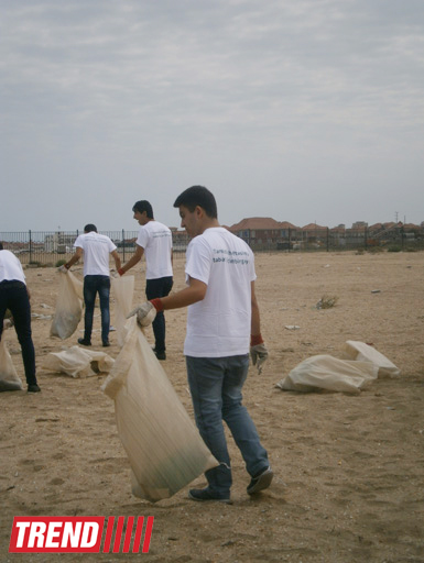 Кампания IDEA организовала акцию по очистке территории Нардаранского пляжа от отходов (фото)