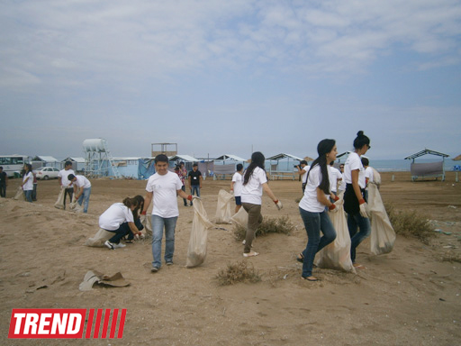 Кампания IDEA организовала акцию по очистке территории Нардаранского пляжа от отходов (фото)