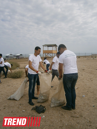 Кампания IDEA организовала акцию по очистке территории Нардаранского пляжа от отходов (фото)