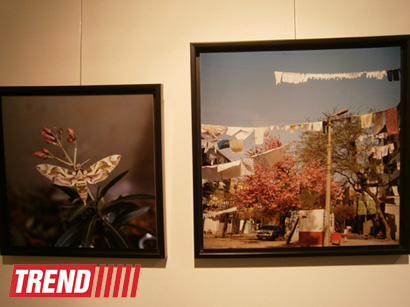 В Испании представлены фотоработы и книга Рены Эфенди "Жидкая земля" (фото)