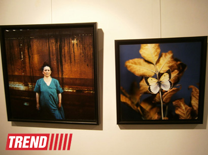 В Испании представлены фотоработы и книга Рены Эфенди "Жидкая земля" (фото)