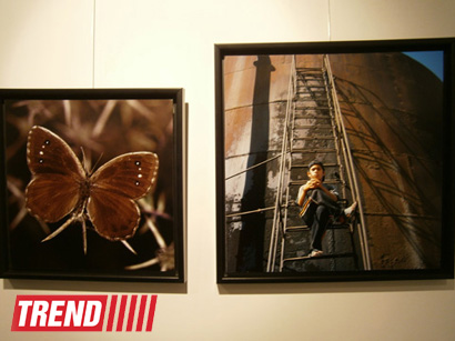 В Испании представлены фотоработы и книга Рены Эфенди "Жидкая земля" (фото)