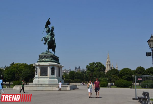 Первая в Австрии акция антиисламистов завершилась разгоном полицией