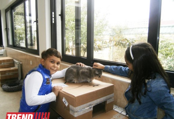 Кампания IDEA организовала поездку школьников в Азербайджанский центр спасения животных (ФОТО)