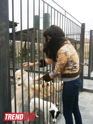 Кампания IDEA организовала поездку школьников в Азербайджанский центр спасения животных (ФОТО)