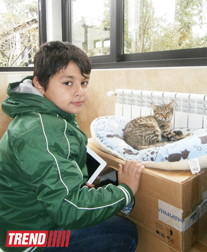 Кампания IDEA организовала поездку школьников в Азербайджанский центр спасения животных (ФОТО)