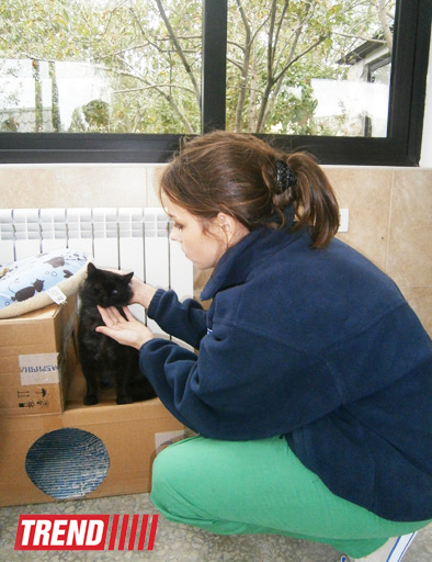 Кампания IDEA организовала поездку школьников в Азербайджанский центр спасения животных (ФОТО)