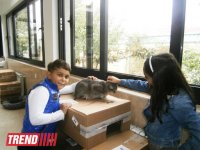 Кампания IDEA организовала поездку школьников в Азербайджанский центр спасения животных (ФОТО)