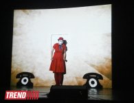 В Баку "Животные и дети занимают улицы":  ничего подобного вы еще не видели! (фото)