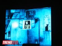 В Баку "Животные и дети занимают улицы":  ничего подобного вы еще не видели! (фото)