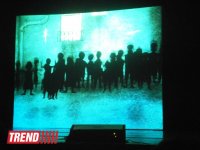 В Баку "Животные и дети занимают улицы":  ничего подобного вы еще не видели! (фото)