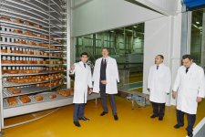 Президент Азербайджана принял участие в открытии хлебозавода и парка в Хатаинском районе Баку (ФОТО)
