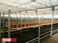 Кампания IDEA провела семинар на тему "Dünyanın ərzaq təhlükəsizliyi" (ФОТО)