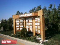 Кампания IDEA провела семинар на тему "Dünyanın ərzaq təhlükəsizliyi" (ФОТО)