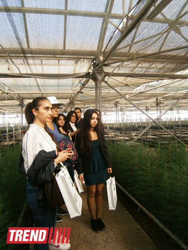 Кампания IDEA провела семинар на тему "Dünyanın ərzaq təhlükəsizliyi" (ФОТО)