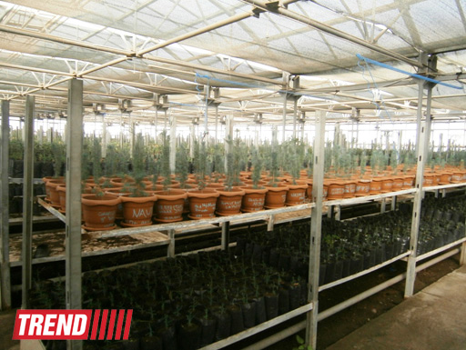 Кампания IDEA провела семинар на тему "Dünyanın ərzaq təhlükəsizliyi" (ФОТО)