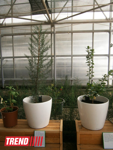 Кампания IDEA провела семинар на тему "Dünyanın ərzaq təhlükəsizliyi" (ФОТО)