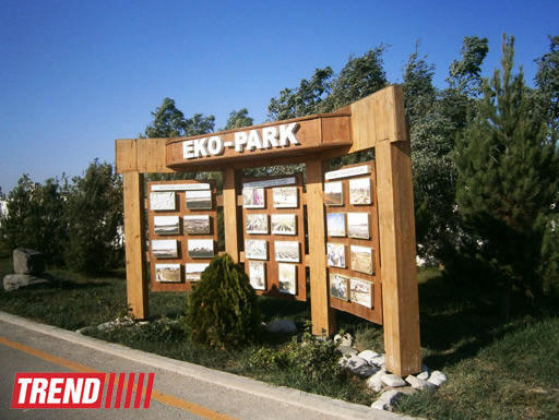 Кампания IDEA провела семинар на тему "Dünyanın ərzaq təhlükəsizliyi" (ФОТО)