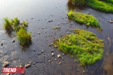 Прогулка по Болгарии: Пловдив - впечатления и достопримечательности (фото, часть 2)