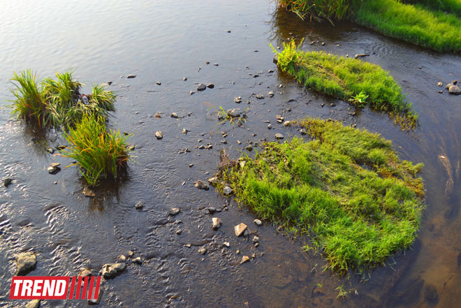 Прогулка по Болгарии: Пловдив - впечатления и достопримечательности (фото, часть 2)