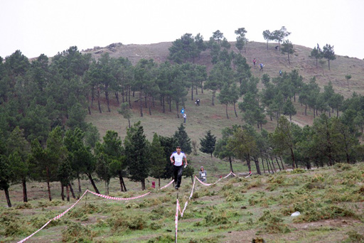 В Азербайджане определились победители чемпионата страны по  спортивному ориентированию (фото)