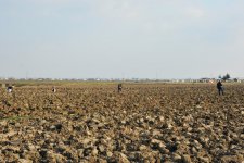 На раскопках средневекового города Агсу и Башни Мехраван организован лагерь по изучению культурного наследия (фото)